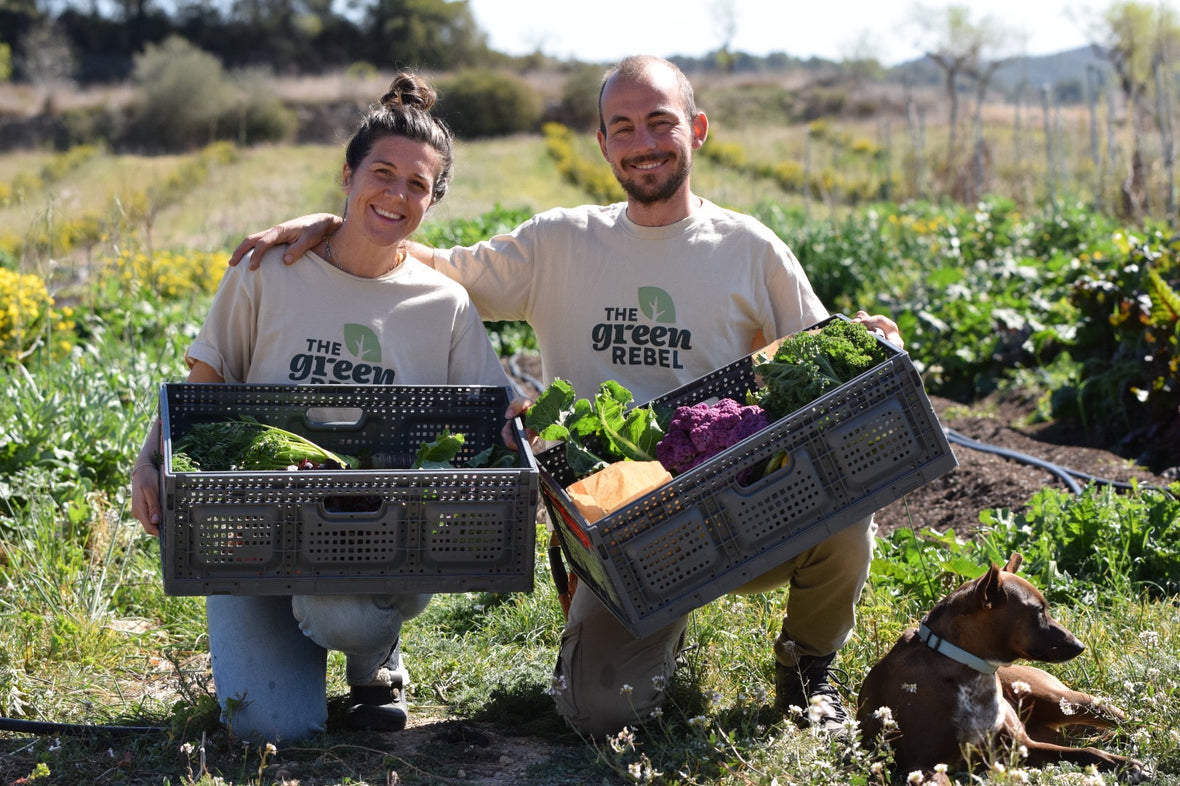 8c9e87b6 8928 4455 a78b b5b919612428