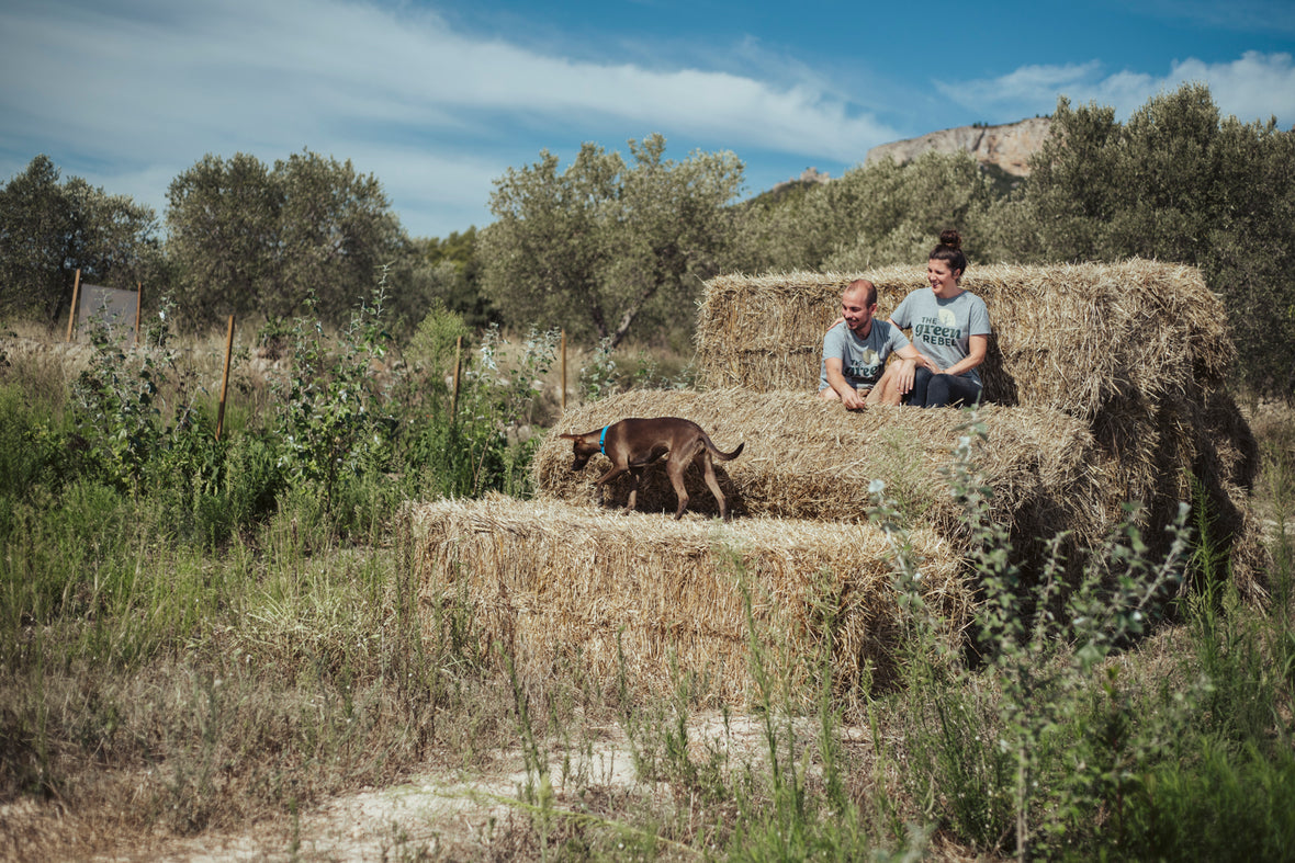 The green rebel gabriela hengeveld  6