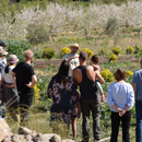 Farm Tour 10th January 11:00-2